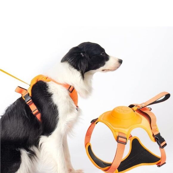 🧡 No-Pull Dog Harness with Leash – Size Medium (Orange) - Picture 1 of 6